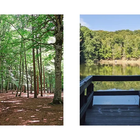 Corte Degli Ulivi マッティナータ