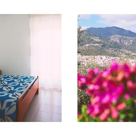 ベッド・アンド・ブレックファスト Corte Degli Ulivi 3*