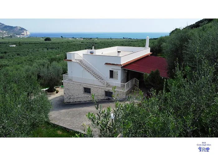 לינה וארוחת בוקר Corte Degli Ulivi