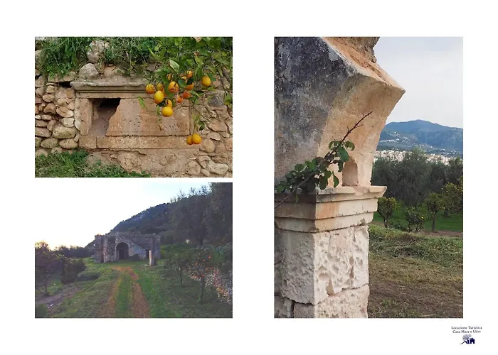 Corte Degli Ulivi 3*